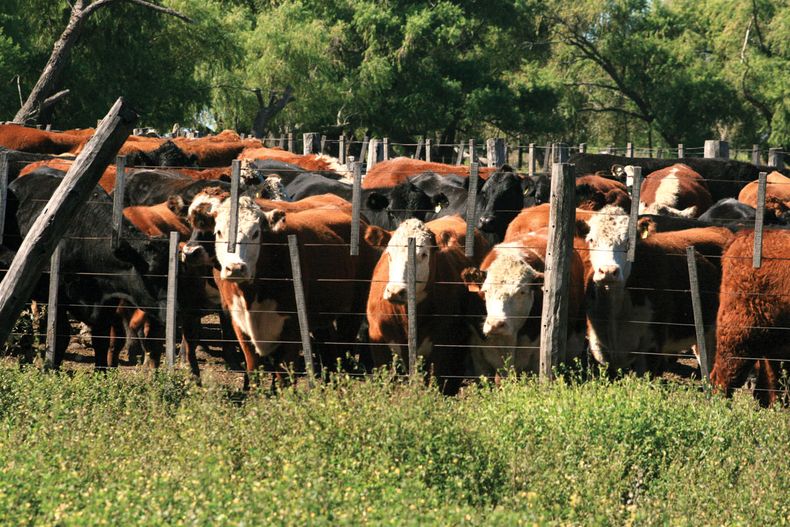 Foto Isla animales de corral.jpg