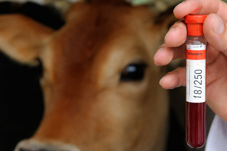 El colegio veterinario cuestiona una medida vinculada al Sistema de Gestión de Toma de Muestra.