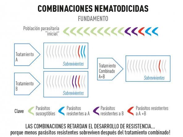 Esquema provisto por Candela Cantón.