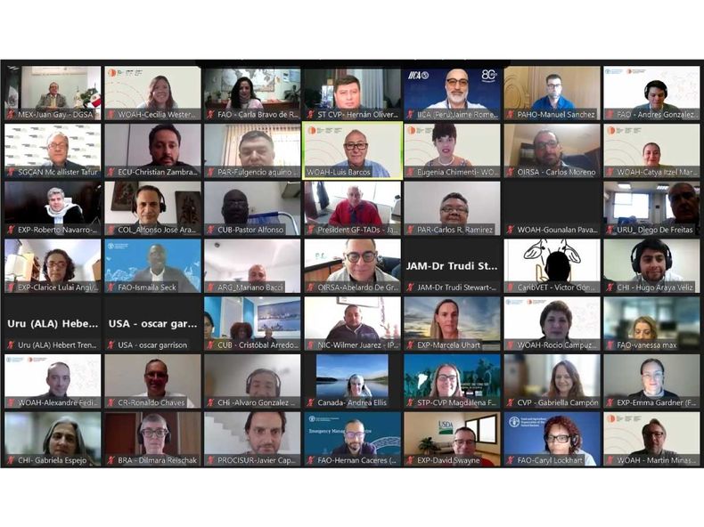 unidad regional influenza aviar.jpg