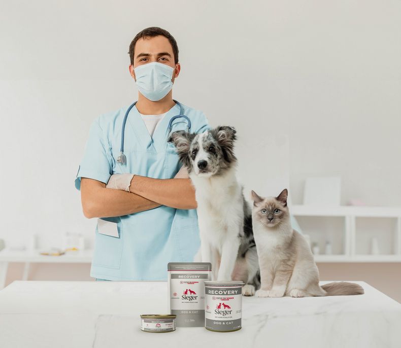 En nutrición animal, Alican ya lidera el segmento de alimentos húmedos para mascotas.