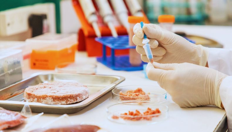 Basados en las nuevastendencias en el consumo de alimentos, desde el INTA Castelar desarrollaron una metodología molecular para identificar lasespecies de las carnes.
