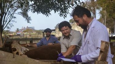 El INTA Mercedes realiza todo un trabajo de capacitación para un manejo adecuado de garrapatas y tristeza bovina.&nbsp;