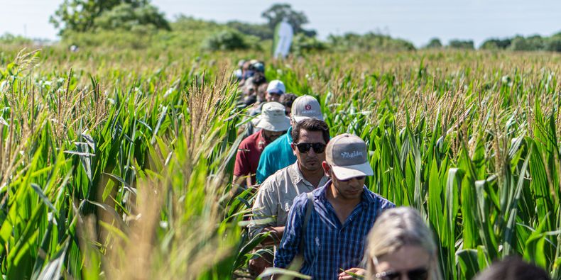 Referentes técnicos de Aapresid proyectan el futuro del manejo de plagas.