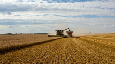 El productor agropecuario frente al avance de los grandes grupos.