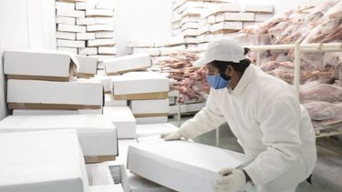 Todas las carnes importadas deberán ir acompañada de un certificado sanitario.