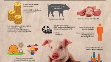 Motivar | Infografia Porcinos ok.jpg