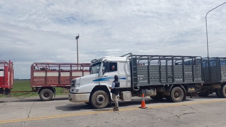 Las inspecciones del Senasa se centran en camiones, autos y camionetas, entre otros vehículos.