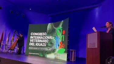 La vinculación internacional del CIVI es uno de los fuertes a los que aspiran los organizadores.