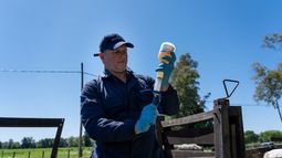 Clostrimiq PH fue diseñada por el Laboratorio Biochemiq como una vacuna de doble protección. Clostrimiq PH fue diseñada por el Laboratorio Biochemiq como una vacuna de doble protección.