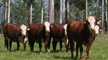 Motivar | como producen los mas grandes5.jpg