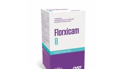 El nuevo lanzamiento de OVER permite abordar los casos clínicos de manera integral. El nuevo lanzamiento de OVER permite abordar los casos clínicos de manera integral.