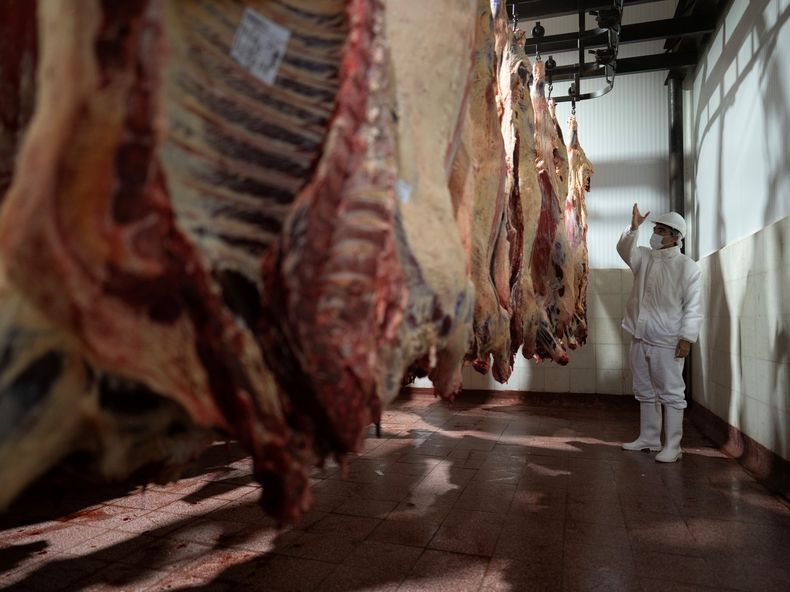 La producción de carne bovina, un pilar del sector agropecuario, transita un período de desafíos y recuperación.