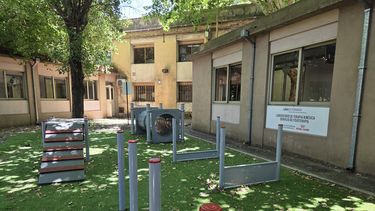 Innovación, formación y bienestar animal, pilares del nuevo Laboratorio Kinésico.