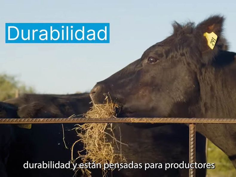 villanueva allflex.jpg