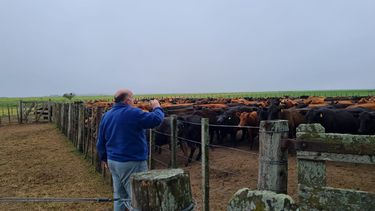 Motivar | Miguel Mejia.jfif_.jpeg