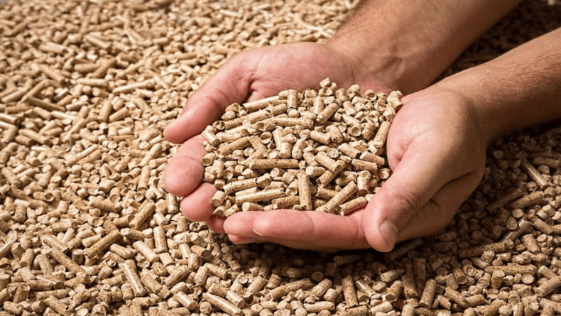 La producción de alimentación animal está profundamente ligada al pulso de la economía global.