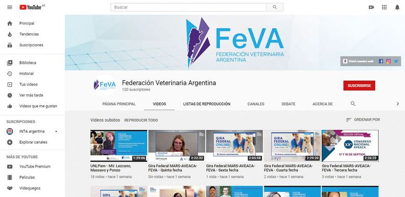 FEVA youtube.jpg