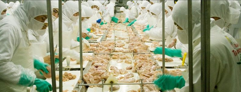 La avicultura argentina agrega mercados y se recupera del golpe de influenza aviar del año pasado.