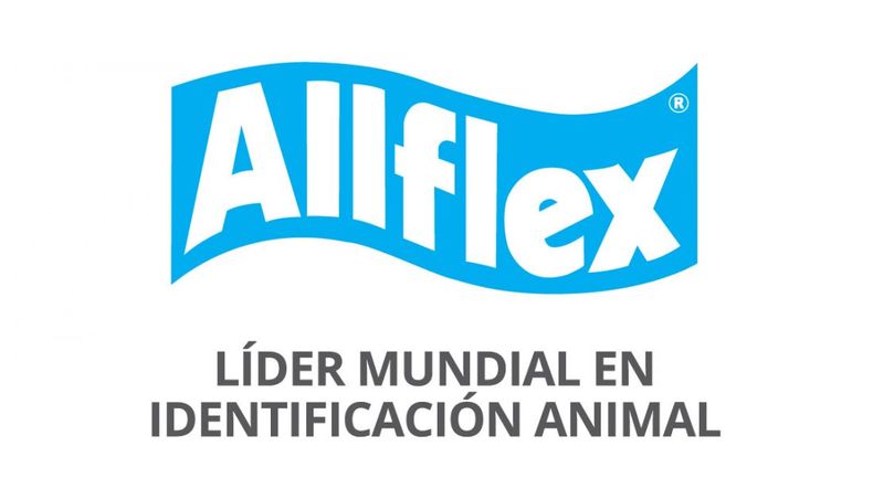 allflex 1100x617 1.jpg