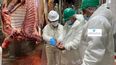 La modernización de los controles sanitarios del Senasa busca optimizar la eficiencia en la cadena agroalimentaria argentina.