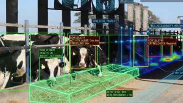 Inteligencia Artificial: optimización y gestión en el sector agropecuario.