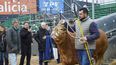 La diversidad de la ganadería argentina se exhibe en la Expo Rural, reflejando el dinamismo y la riqueza de su producción.