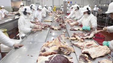 El objetivo de Senasa es formar una red institucional en pos de calidad, inocuidad y seguridad alimentaria.