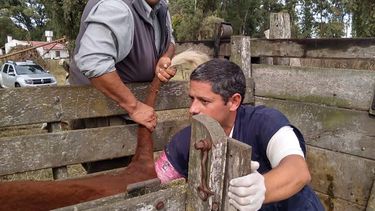 Motivar | Panelo 2.jpg