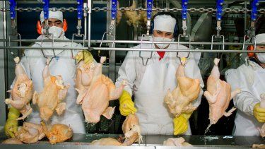 Vietnam reabre su mercado a la avicultura argentina. 