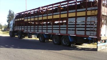 La faena vacuna en Argentina enfrenta desafíos, reflejando las fluctuaciones del mercado ganadero y su impacto en la producción.