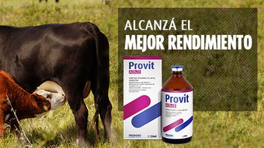 Motivar | provitad3e banner 570x250.jpg