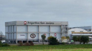Exportaciones agroindustriales: la planta de San Jacinto en Uruguay.&nbsp;