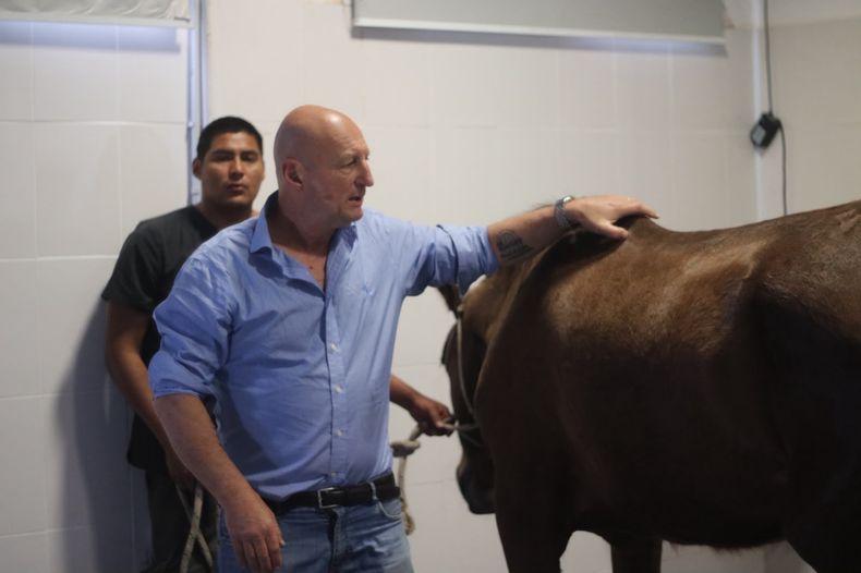 FCV UNNE en jornadas veterinarias: educación y práctica de equinos.