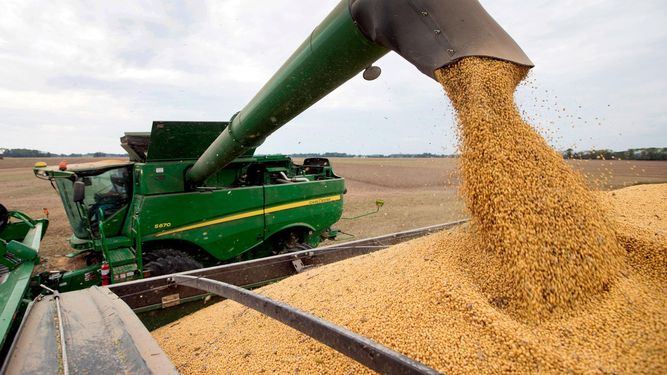 Soja: la cosecha se retrasa y crece la preocupación en la región núcleo.