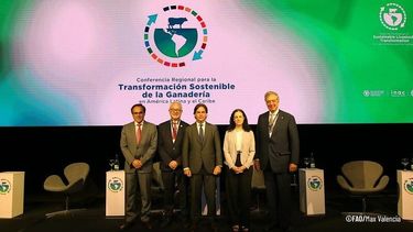 América Latina tiene la oportunidad de convertirse en un modelo mundial de ganadería sostenible.