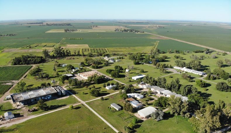 El INTA Marcos Juárez difundió su boletín anual sobre enfermedade en bovinos.