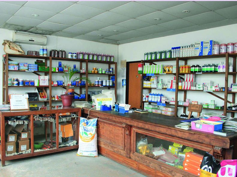 Gestionar el negocio veterinario.