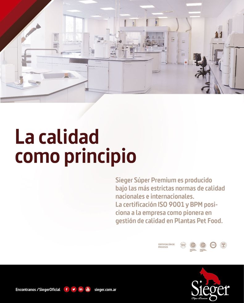 piezas para envio.jpg