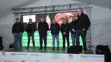 La recría bovina y la mejora genética son pilares para optimizar la producción de carne en la ganadería argentina.