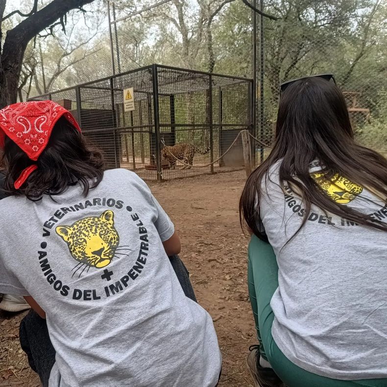 Veterinarios Amigos del Impenetrable acceden a zonas donde la atención veterinaria es inexistente.&nbsp;