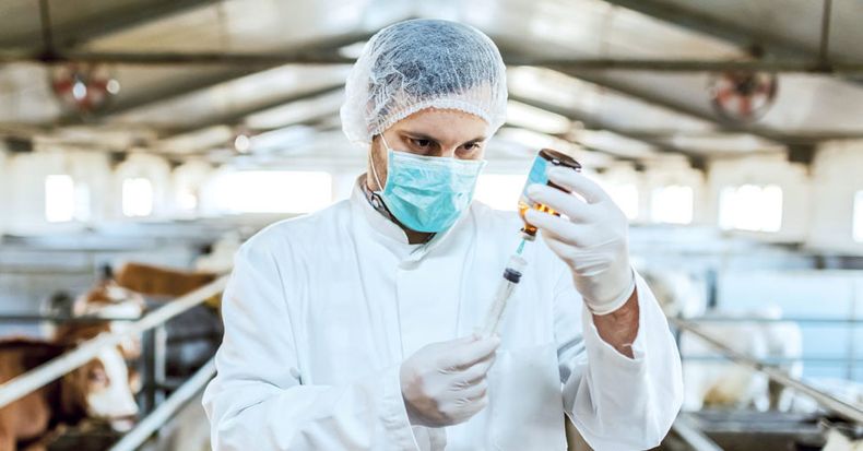 Foto de TAPA 208 web e1587568788255.jpg