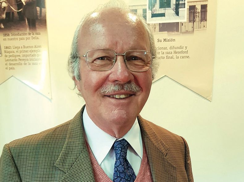 Hereford Agustin Arroyo.jpg