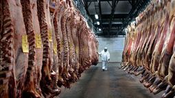 Brasil capitaliza su estatus de país libre de fiebre aftosa sin vacunación. Brasil capitaliza su estatus de país libre de fiebre aftosa sin vacunación.