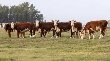 El IPCVA participó en una nueva acción vinculada al bienestar animal.