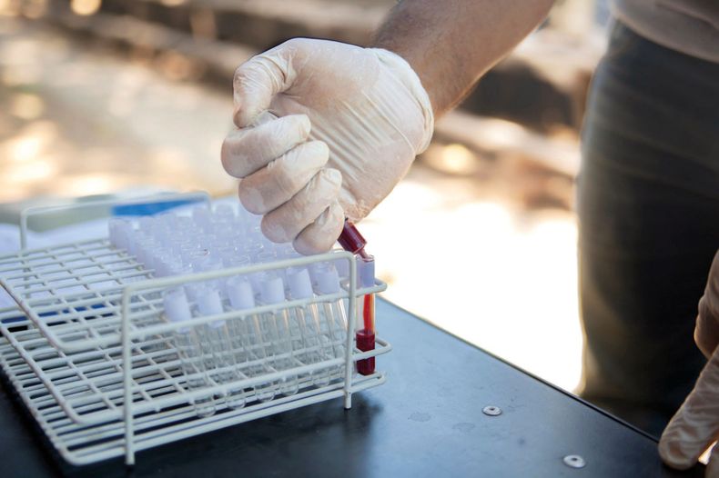 El buen manejo y un plan sanitario acorde en una empresa ganadera es sinónimo de rentabilidad.