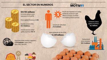 Motivar | Infografia huevos.jpg