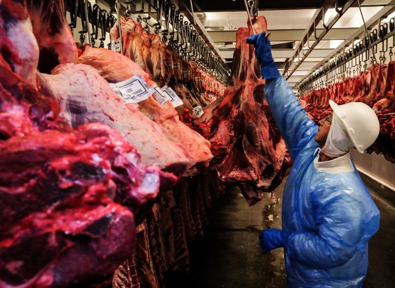 El fortalecimiento del Estatus sanitario es clave para la apertura de nuevos mercados y la consolidación de las exportaciones de carne del Mercosur.