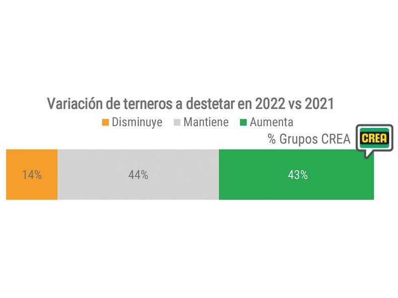 CREA grafico.jpg