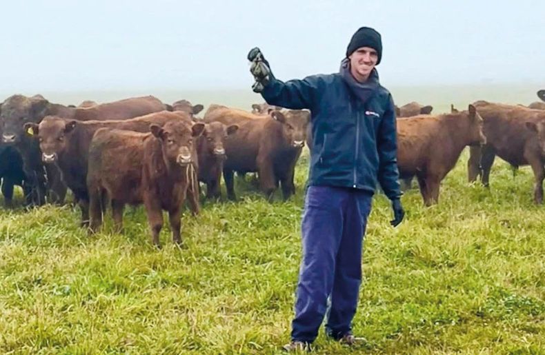 Control integrado bajo asesoramiento provesional y trabajo en equipo es la única manera de controlar la sarna bovina.